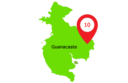 Estadísticas de la Enfermedad de Von Willebrand en Guanacaste